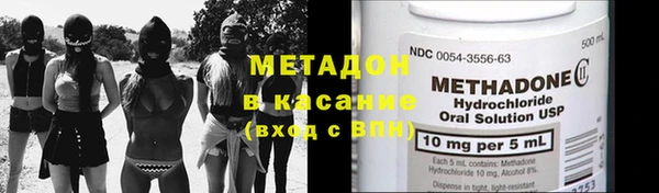 шишки Осинники