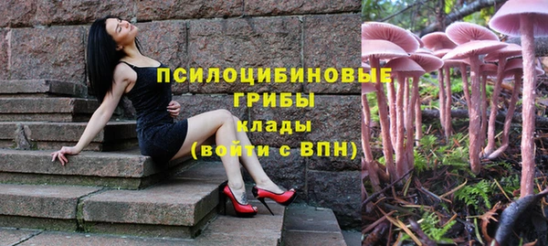 мескалин Осташков