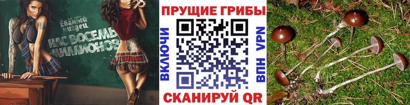 Псилоцибиновые грибы MAGIC MUSHROOMS  цена наркотик  Кремёнки 